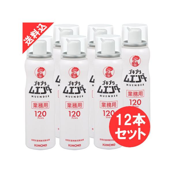 ƖpSLuG_[ ×12{/P[X 120vbV SLu쏜  hp򕔊Oi E HX ~[ Lb` Xg ȒP 