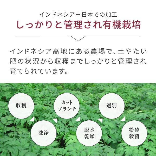 明日葉 青汁 500g 有機 インドネシア産 あしたばパウダー 粉末 国産 明日葉茶 オーガニック Buyee Buyee 提供一站式最全面最专业现地yahoo Japan拍卖代bid代拍代购服务 Bot Online