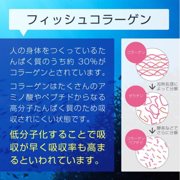 コラーゲン 粉末 500g フィッシュ サプリメント(コラーゲンペプチド 美容 collagen supplement) /【Buyee】 コラーゲン 粉末 500g フィッシュ サプリメント(コラーゲンペプチド 美容 collagen supplement) /【Buyee】