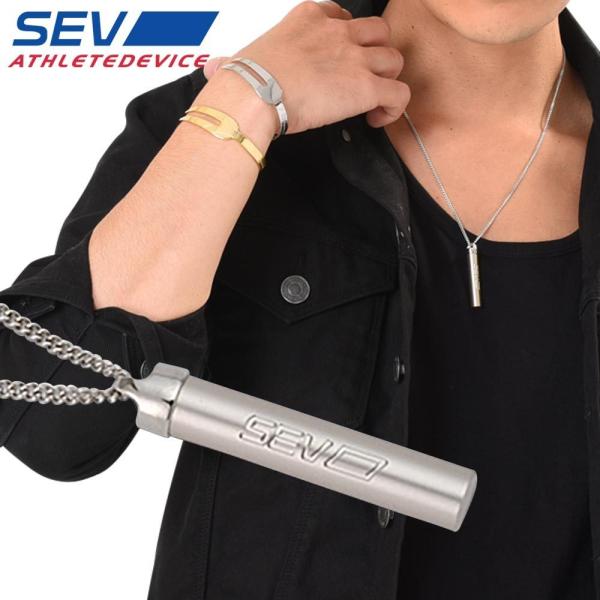 hogushiyahonpo_sev-metalvertical hogushiyahonpo_sev-metalvertical