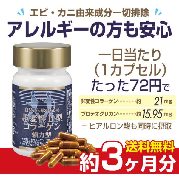 1袋の内容量：250mg×30カプセル【原材料名】鮭鼻軟骨抽出物（非変性 型コラー ゲン 含有）、鮭鼻軟骨抽出物（プロテオグリカン含有）、鮫軟骨抽出物（コンドロイチン含有）、フカヒレ抽出物、発酵グルコサミン、ステアリン酸Ca、ヒアルロン酸、...