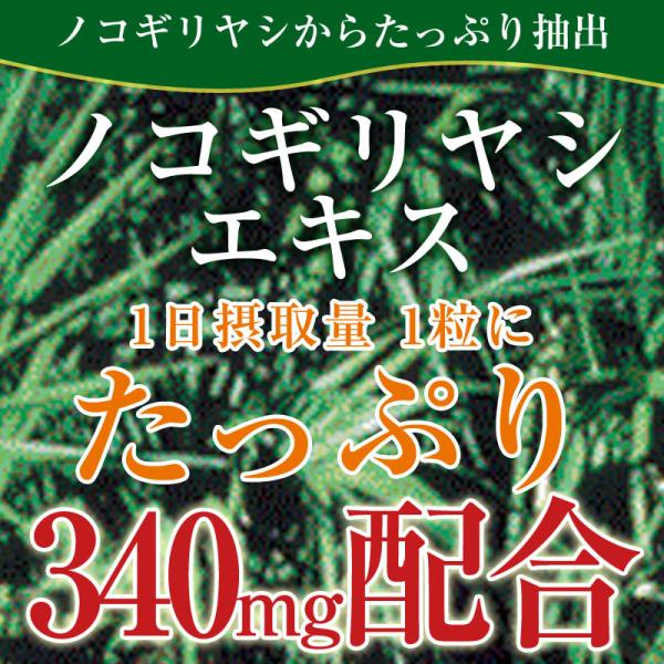 1袋の内容量：340mg×30粒1日の目安：約1粒【原材料名】ノコギリヤシエキス、ゼラチン、グリセリンノコギリヤシとは…アメリカ先住民の間で古くから健康維持のために活用されてきたハーブです。オクタコサノールやステロールなどの有用成分が豊富に...