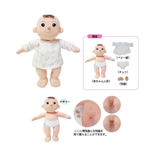 性教育教具人形セット Buyee Buyee 日本の通販商品 オークションの代理入札 代理購入