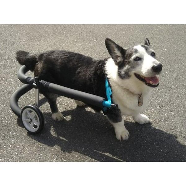 犬用車椅子 歩行器 中型犬用 オーダーメイド 2輪 室内 歩行補助 老犬 介助 運動 リハビリ 加齢 寝たきり 介護