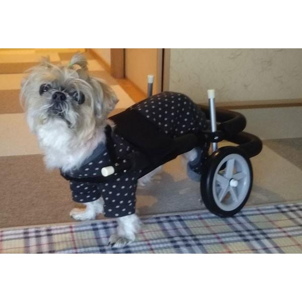 小型犬用車いす 歩行器 老犬 歩行介助 ヘルニア 麻痺 室内 リハビリ トイプードル ミニチュアダックス シーズー等 Buyee Buyee 日本の通販商品 オークションの代理入札 代理購入