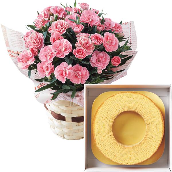 母の日 22 花 ギフト 送料無料 カーネーション鉢植え オスカーピンク ４号とパティスリー プレセリテ バームクーヘンのセット 母の日ギフト ギフト グルメ北海道 通販 Yahoo ショッピング