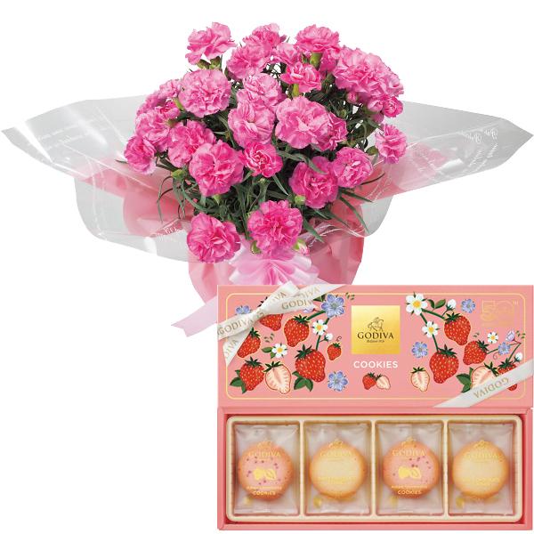 母の日 22 花 ギフト 送料無料 ゴディバ あまおう苺クッキーアソートメントとピンクカーネーション鉢植え５号 母の日ギフト お花 植物 ギフト グルメ北海道 通販 Yahoo ショッピング