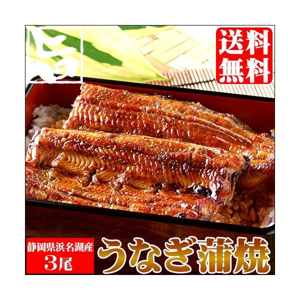 Ȃ V EiM Mtg É lElΎYȂZbg(3) / Y YȂ YEiM  񂤂Ȃ YV Ă Ă