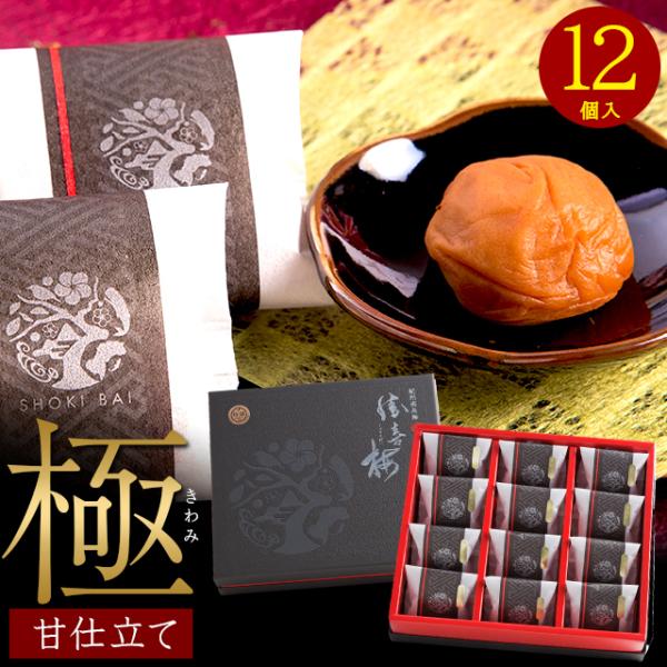 ~ Mtg ~ ō 썂~ ÎdāuɁv12 / c j Ԃ  a̎R 傤΂ 嗱 傫 Y ~ ߂ڂ 