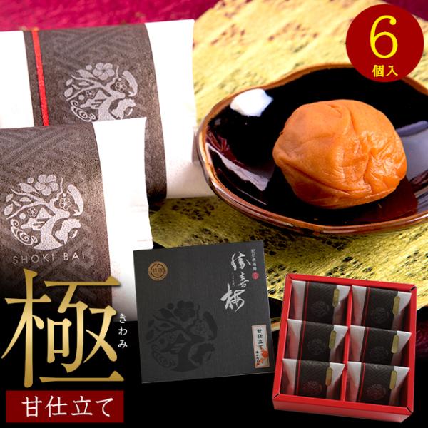 ~ Mtg ~ ō 썂~ ÎdāuɁv6 / c j Ԃ  a̎R 傤΂ 嗱 傫 Y ~ ߂ڂ 