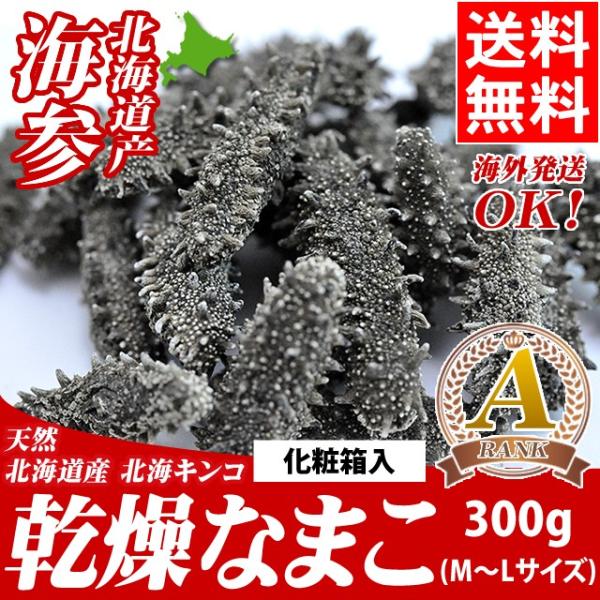 CQ Ȃ܂ Mtg  kCYȂ܂ VR Ȃ܂i`i l-kTCY 300gjϔ / VR i}R WCQ {hQ