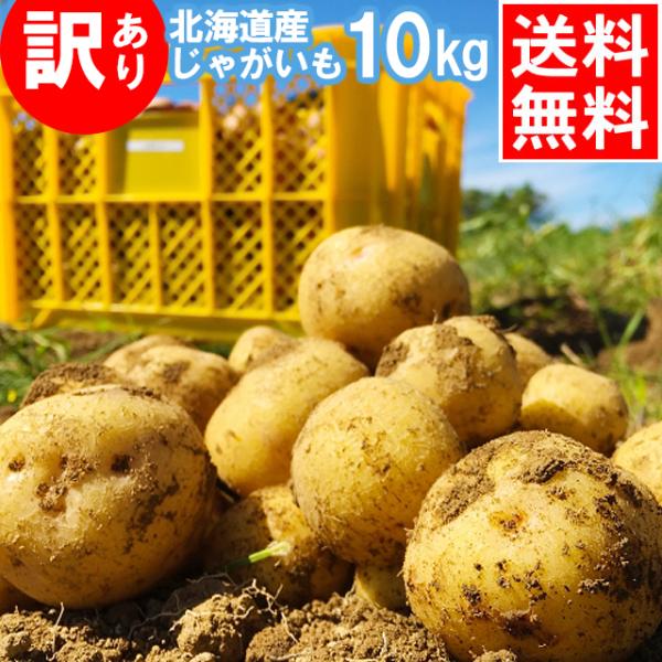 イモ類 10kg じゃがいも とうやの人気商品・通販・価格比較 - 価格.com