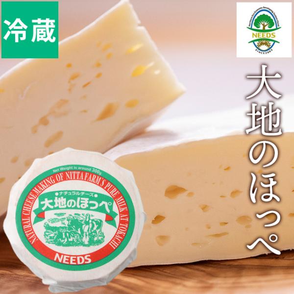 `[Y i``[Y kC `[YH[ NEEDS n̂ق /  [ kC`[Y `[Y Yn \  ܂ 