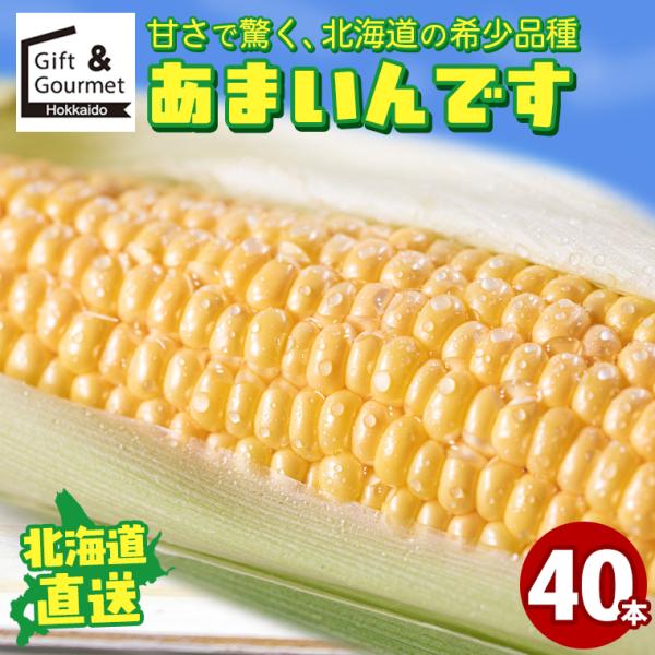 [Release date: August 5, 2026]こちらの商品は8月上旬-9月中旬の期間内に順次出荷予定です。とうもろこし 北海道 あまいんです 40本入り / トウモロコシ 北海道とうもろこし 甘いとうもろこし とうきび 北海道...