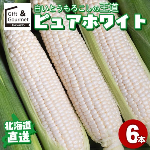 [Release date: July 20, 2026]こちらの商品は8月上旬-9月中旬の期間内に順次出荷予定です。とうもろこし 北海道 ピュアホワイト 6本入 / 白いトウモロコシ トウモロコシ 北海道とうもろこし 甘いとうもろこし 白...