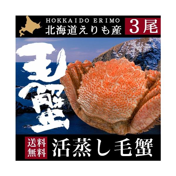 ъI уKj kC Mtg ъIRiPF400g`430gj / j Ԃ 3 ъI уKj Jj  I p CN