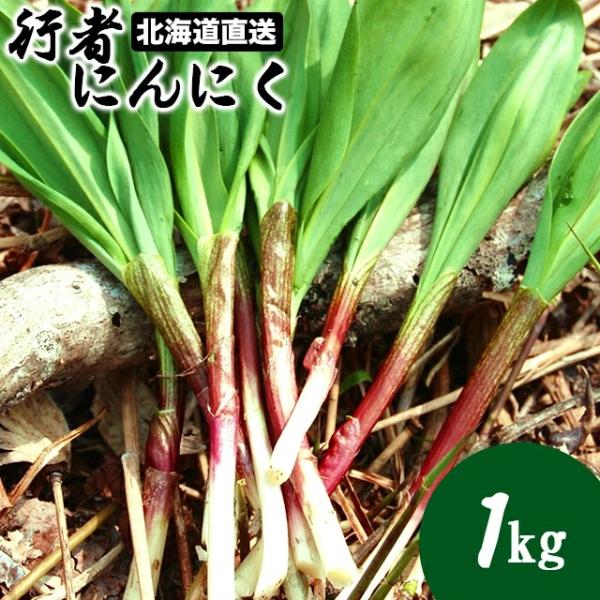 出荷中 送料無料 北海道産 天然 行者にんにく(1.0kg入り 出荷中 送料無料 北海道産 天然 行者にんにく(1.0kg入り