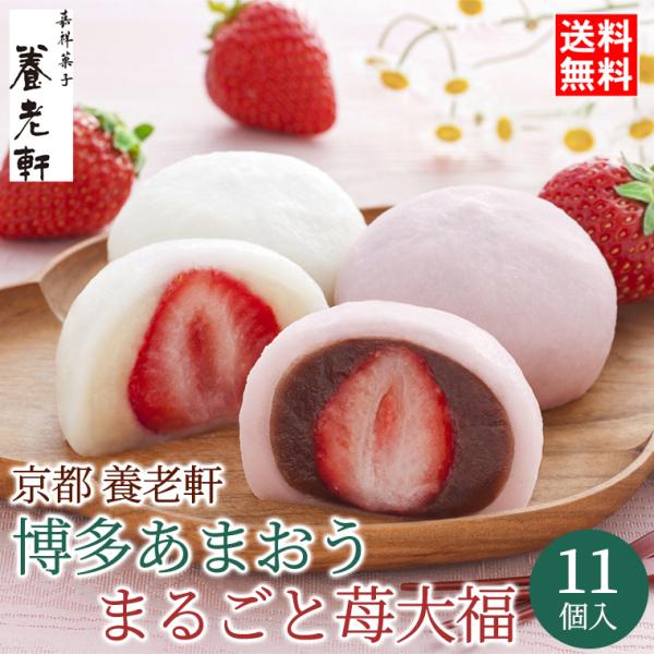 イチゴ 大福の人気商品・通販・価格比較 - 価格.com