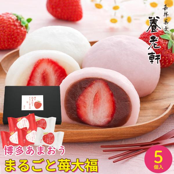 内祝い 和菓子 ギフト/ 京都 養老軒 博多あまおう ごろっと苺大福(YF-LA5) / お年賀 2025 お返し フルーツ フルーツ大福 いちご大福 お返し : yk-yf-ma7 : ギフト&グルメ北海道 - 通販 - Yahoo!ショッピング 内祝い 和菓子 ギフト/ 京都 養老軒 博多あまおう ごろっと苺大福(YF-LA5) / お年賀 2025 お返し フルーツ フルーツ大福 いちご大福 お返し : yk-yf-ma7 : ギフト&グルメ北海道 - 通販 - Yahoo!ショッピング