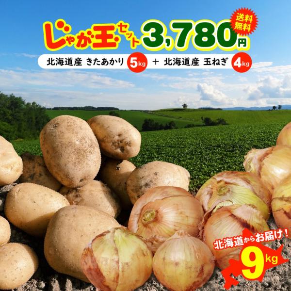 玉ねぎ 10kg その他の野菜 きのこの人気商品 通販 価格比較 価格 Com