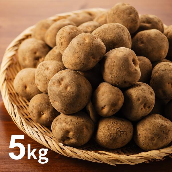 北海道芽室町尾藤農産 尾藤さんちのじゃがいも 北あかり5kg Mlサイズ 1個約50g 250g 同梱不可 ギフト対応不可 産地直送 きたあかり 10月下旬より順次発送 北海道ロコファームビレッジ 通販 Yahoo ショッピング