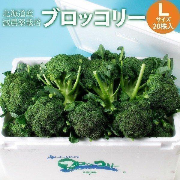 [Release date: August 18, 2019]贈り物ギフトに北海道産ブロッコリー、栄養豊富なブロッコリーは旬のものが美味しい。いつも食べているブロッコリーとは一味ちがう逸品です。８月中旬より発送します。贈り物ギフトとしてもお...