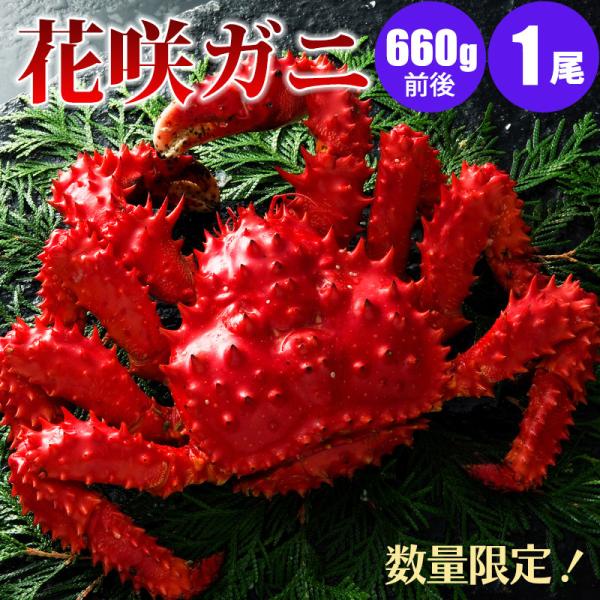 花咲ガニ 660g前後×１尾 北海道産 カニ 花咲ガニ 蟹 蟹ギフト 海鮮ギフト