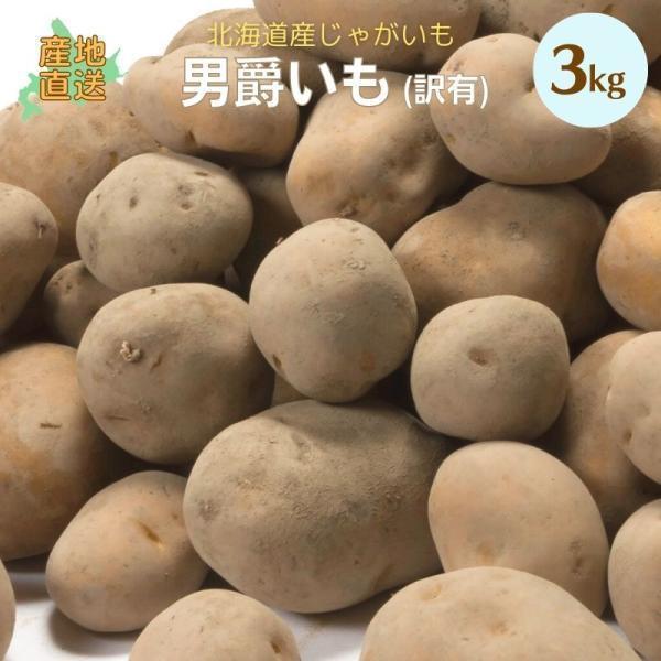 じゃがいも 3kgの人気商品 通販 価格比較 価格 Com