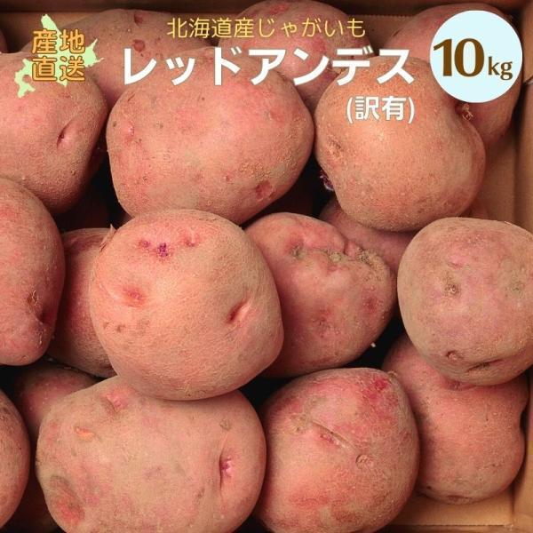 新じゃがいも】 じゃがいも レッドアンデス 10kg 規格外 不揃い 自宅用 北海道 お取り寄せ グルメ 業務用 野菜 道産野菜 北海道産 産直 ジャガイモ 敬老 :imreda-w10k:とうもろこし・じゃがいも・玉ねぎは北海道マルシェ - 通販 - Yahoo!ショッピング 新じゃがいも】 じゃがいも レッドアンデス 10kg 規格外 不揃い 自宅用 北海道 お取り寄せ グルメ 業務用 野菜 道産野菜 北海道産 産直 ジャガイモ 敬老 :imreda-w10k:とうもろこし・じゃがいも・玉ねぎは北海道マルシェ - 通販 - Yahoo!ショッピング
