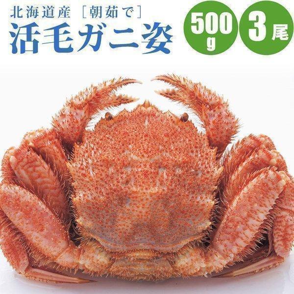 カニ 産地直送の人気商品 通販 価格比較 価格 Com