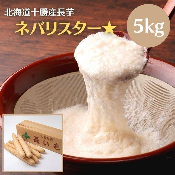 ＜北海道産長芋 ネバリスター 5kg2L＞■内容・規格：北海道産長芋2L　5kg（5本〜8本）■配送方法：常温配送■送料：送料無料（沖縄・離島は宅配便のみ9,800円(税込)以下の場合、1,080円加算）■原材料：長芋■産地：北海道産（十勝...