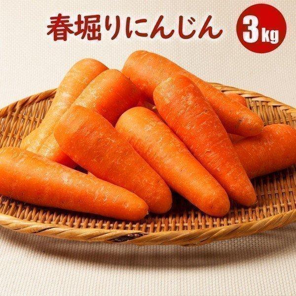 【4月上旬より発送予定】＜北海道野菜 春堀りにんじん　3kg＞■内容・規格：にんじん　Ｌサイズ 3kg雪の下で甘みをたっぷり蓄えたにんじん。雪下にんじんは通常のにんじんより甘く、みずみずしい、さっぱりとした味わいでサラダやニンジンジュースな...
