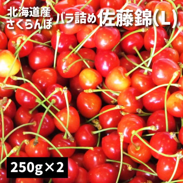 最適なさくらんぼ「佐藤錦」大きなＬサイズ。送料無料でお届け。さくらんぼと言えば山形産が有名ですが、北海道産も負けていません。冷涼で害虫が少ない気候が甘く安全なさくらんぼ栽培を可能にしています。佐藤錦は人気のあるさくらんぼの品種です。こちらは...