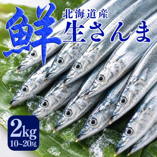 予約 2026年新物 生さんま10尾〜20尾 約2kg 道東 生サンマ 北海道産 秋刀魚 10月上旬より予約順発送予定