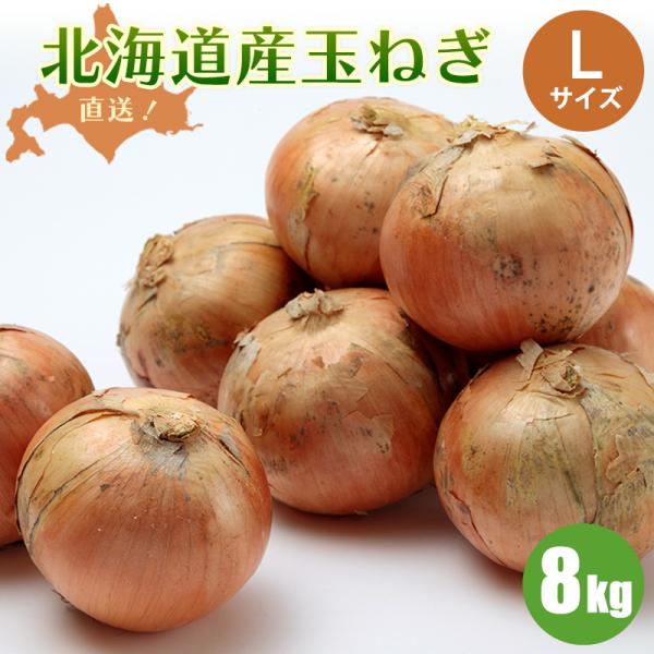 [Release date: October 1, 2019]＜北海道産玉ねぎ８kg/Ｌ＞■内容・規格：北海道産玉ねぎ（８kg）正規品　Ｌ熱を加えると独特の旨味が出てきます。他の野菜と比較すると、旨味を醸し出すグルタミン酸の含有量がトップ。...