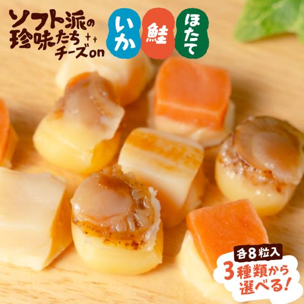 おつまみ ソフト派の珍味たち 【選べる】チーズ 帆立 鮭 焼きいか 8粒