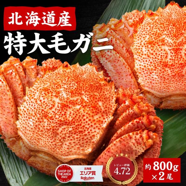 毛蟹 特大 毛ガニ 北海道産 毛がに 800g 2尾セット 送料無料 ボイル