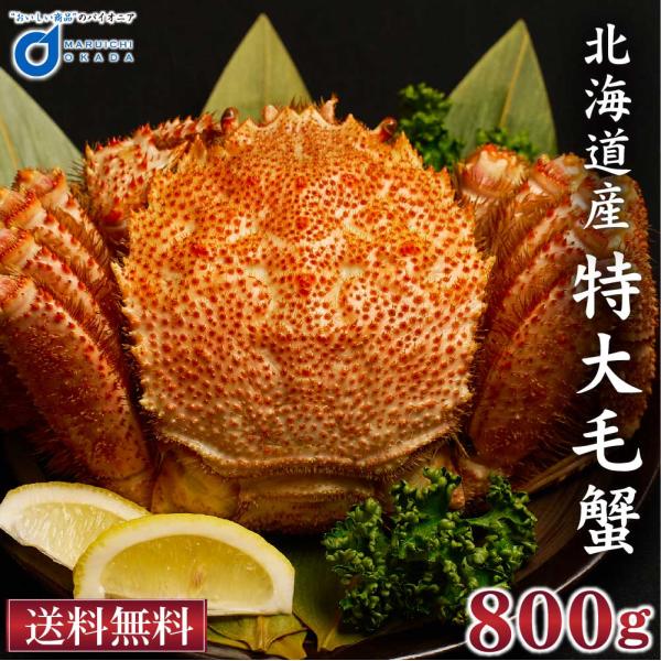 北海道産 毛蟹 800g 本ずわいがに 650g セット 送料無料 毛ガニ ずわい蟹 カニ 海鮮 食べ比べ 北海道グルメ お取り寄せ ギフト 人気