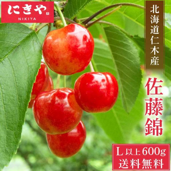 さくらんぼ 北海道 産地直送 佐藤錦(秀品/L〜2Lサイズ/600g/専用箱入)にきや サクランボ 仁木産 産直 暑中見舞 爆買 お中元 夏ギフト