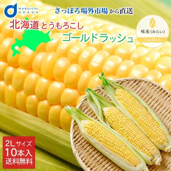 とうもろこし トウモロコシ 北海道 ゴールドラッシュ 10本セット 送料