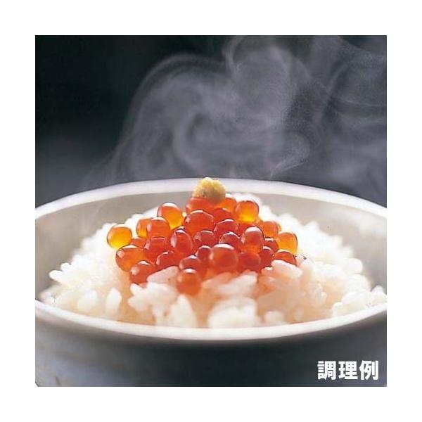 Rg}X ݖ 70g 1r@Mtg CY CN т̂ O j ސE j v[g