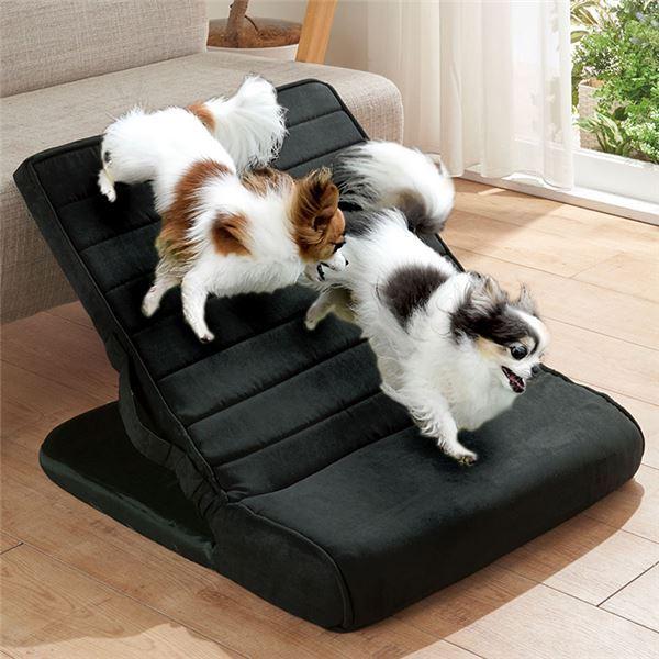 ペットスロープ ワイド 10×80×60cm ブラック 14段階 角度調節 犬