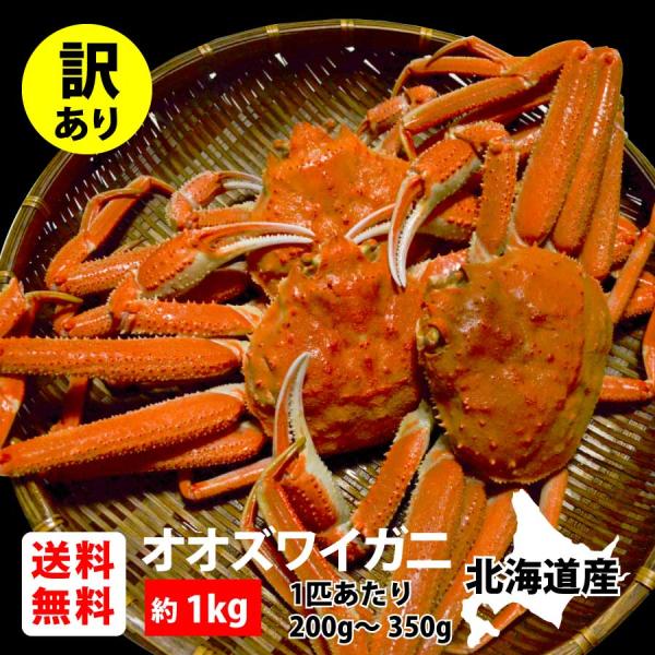訳ありオオズワイガニ(板なし) 1kg《北海道 生産者応援 わけあり ご自宅用 料理 みそ 産地 時期 かに カニ 蟹 お買い得 seafood》