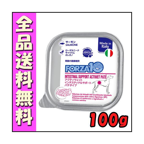 FORZA10 インテスティナルアクティウェット 100g 犬用 B1犬 ウェット