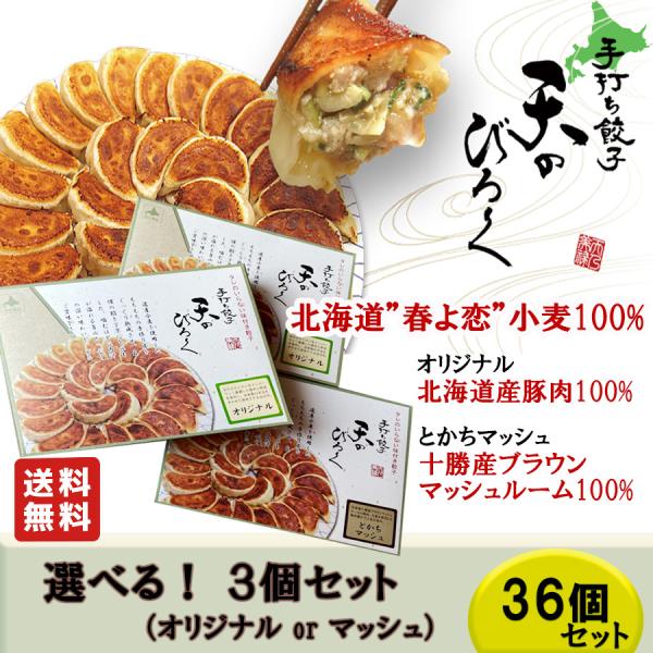 餃子 天のびろく 餃子 セレクト 選べる 3個セット 北海道産 豚肉100%テレビ放映 手打ち餃子 おうちグルメ ギフト 選べる 冷凍 母の日 父の日 お中元 送料無料