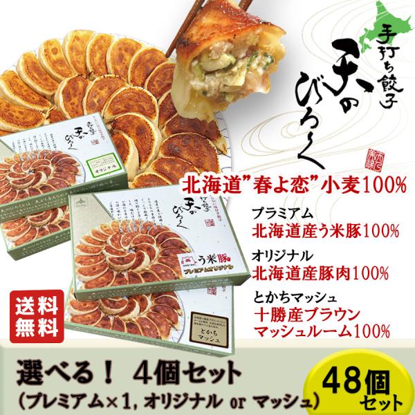 餃子 天のびろく 餃子 セレクト 選べる 4個セット テレビ放映 手打ち餃子 北海道産 豚肉100% う米豚 ギフト おうちグルメ 冷凍 母の日 父の日 お中元 送料無料