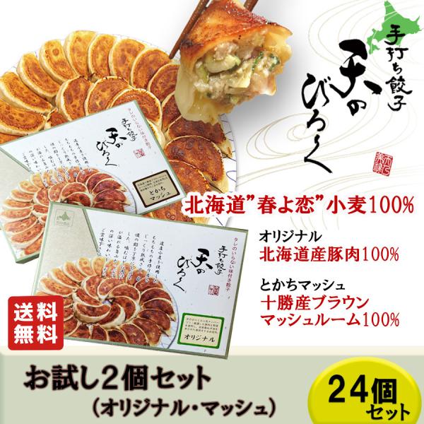 餃子 天のびろく お試セット 2個 北海道産 豚肉100% テレビ放映 手打ち餃子 おうちグルメ 試食 ギフト 冷凍 ぎょうざ 母の日 父の日 お中元 送料無料