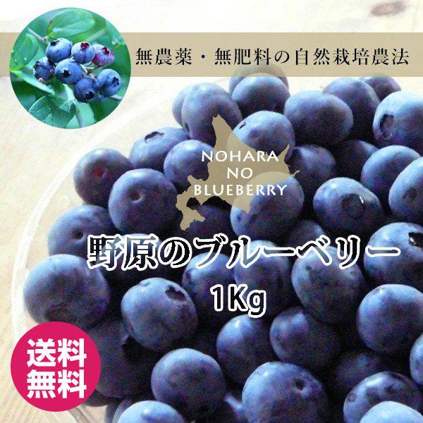 完売 ブルーベリー 2025年収穫 冷凍 北海道産 野原のブルーベリー 1kg