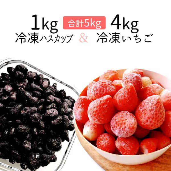 オープニング大セール】 ハスカップ 冷凍 5kg 北海道産 2023年産 送料
