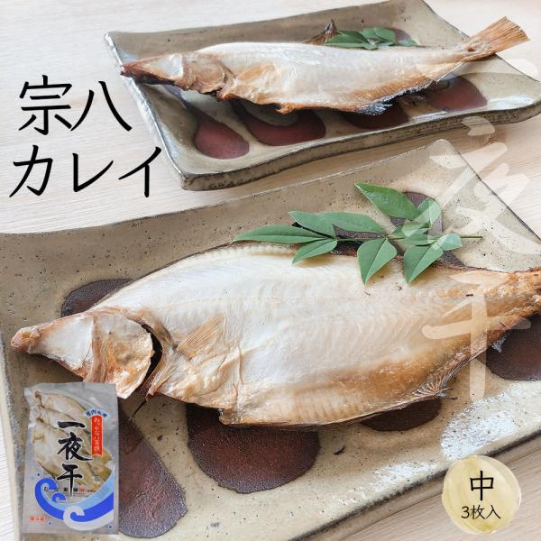 カレイ 高級 食品の人気商品 通販 価格比較 価格 Com